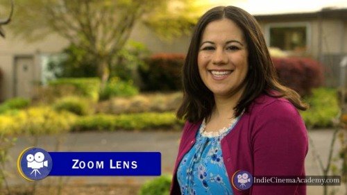 Zoom Lens Example