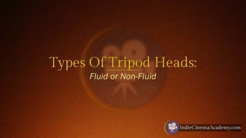 Types of Tripod Heads (Camera Lesson 14)