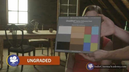 Ungraded Example: One Shot Color Chart (3 Essentials)