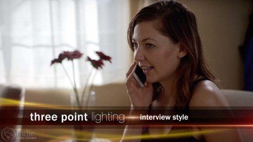 Three Point Lighting: Interview (LC105)