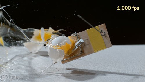 Egg on Mouse Trap At 1000fps (CS002)