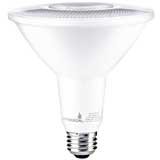 Hyperikon PAR38 14W LED Bulb
