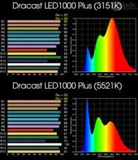 Dracast LED1000 Plus Bi-Color